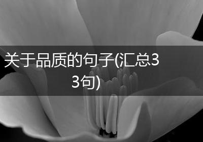 关于品质的句子(汇总33句)