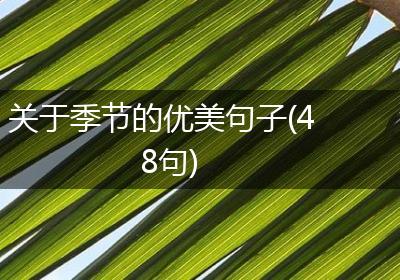 关于季节的优美句子(48句)