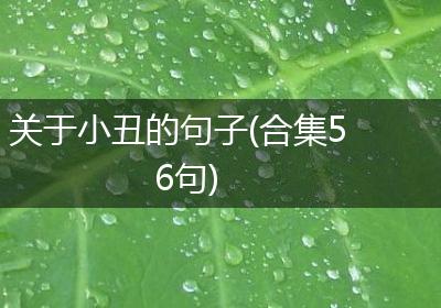 关于小丑的句子(合集56句)
