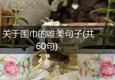 关于围巾的唯美句子(共60句)