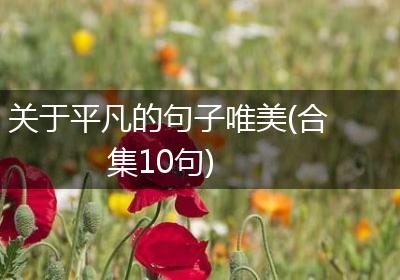 关于平凡的句子唯美(合集10句)