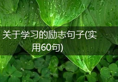 关于学习的励志句子(实用60句)