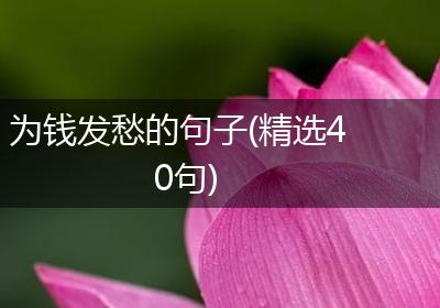 为钱发愁的句子(精选40句)