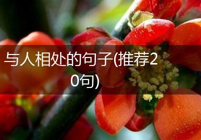 与人相处的句子(推荐20句)