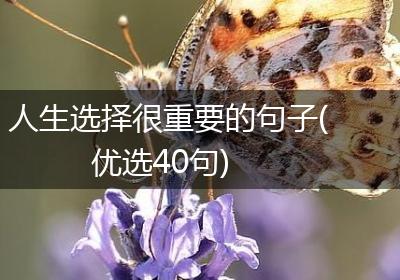 人生选择很重要的句子(优选40句)