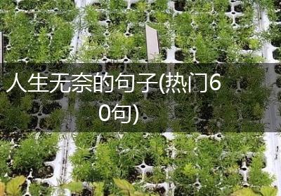 人生无奈的句子(热门60句)
