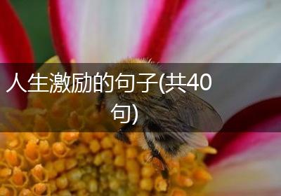 人生激励的句子(共40句)