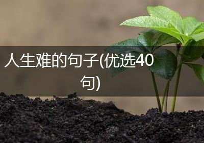 人生难的句子(优选40句)