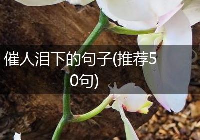催人泪下的句子(推荐50句)