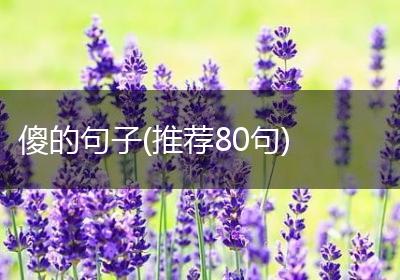 傻的句子(推荐80句)