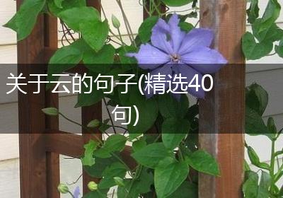 关于云的句子(精选40句)