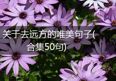 关于去远方的唯美句子(合集50句)