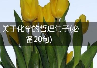 关于化学的哲理句子(必备20句)