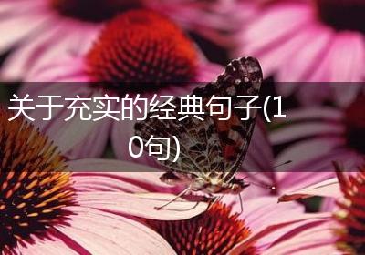 关于充实的经典句子(10句)