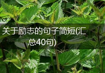 关于励志的句子简短(汇总40句)