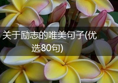 关于励志的唯美句子(优选80句)