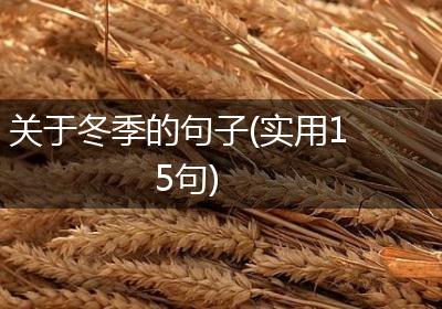 关于冬季的句子(实用15句)