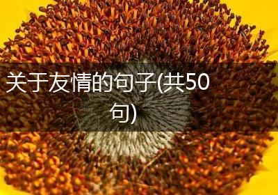 关于友情的句子(共50句)