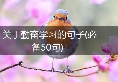 关于勤奋学习的句子(必备50句)