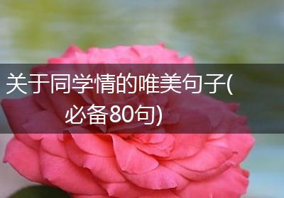 关于同学情的唯美句子(必备80句)