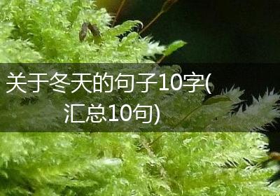 关于冬天的句子10字(汇总10句)