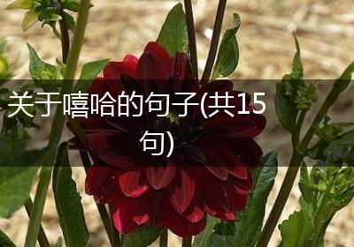 关于嘻哈的句子(共15句)