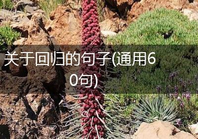 关于回归的句子(通用60句)