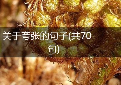 关于夸张的句子(共70句)