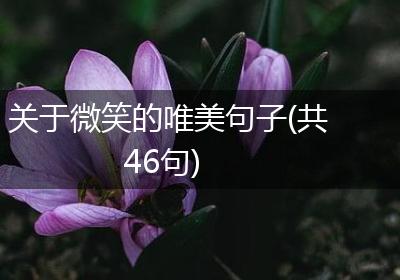 关于微笑的唯美句子(共46句)