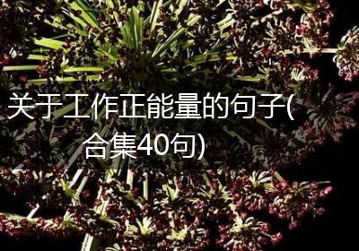 关于工作正能量的句子(合集40句)