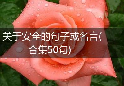 关于安全的句子或名言(合集50句)