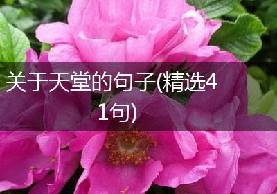 关于天堂的句子(精选41句)