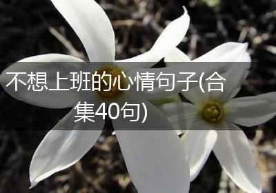 不想上班的心情句子(合集40句)
