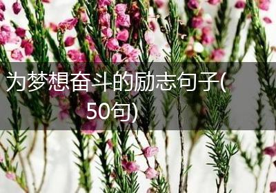 为梦想奋斗的励志句子(50句)