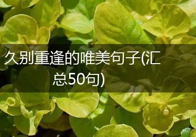 久别重逢的唯美句子(汇总50句)