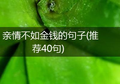 亲情不如金钱的句子(推荐40句)
