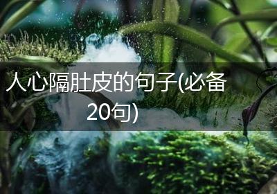 人心隔肚皮的句子(必备20句)