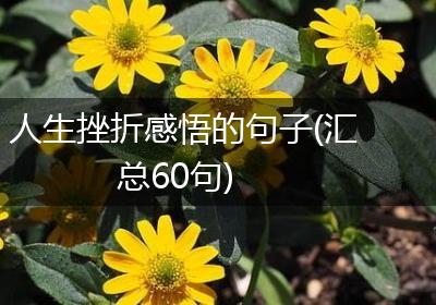 人生挫折感悟的句子(汇总60句)