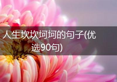 人生坎坎坷坷的句子(优选90句)