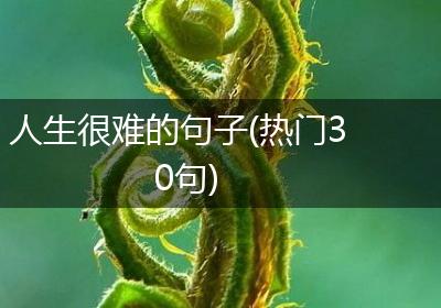 人生很难的句子(热门30句)