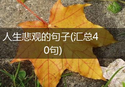人生悲观的句子(汇总40句)