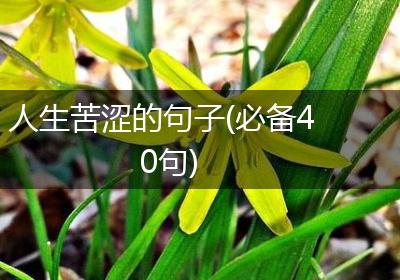 人生苦涩的句子(必备40句)