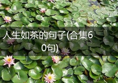 人生如茶的句子(合集60句)