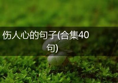 伤人心的句子(合集40句)