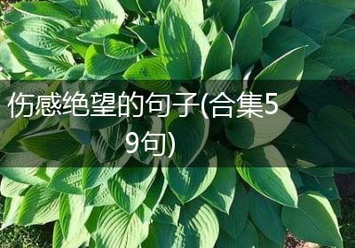 伤感绝望的句子(合集59句)