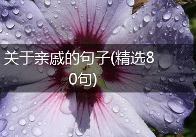 关于亲戚的句子(精选80句)