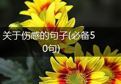 关于伤感的句子(必备50句)