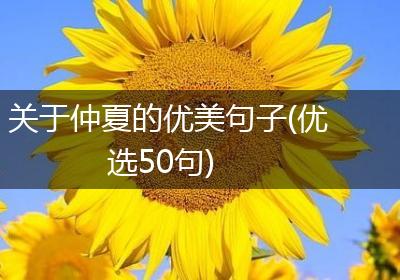 关于仲夏的优美句子(优选50句)
