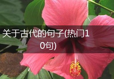 关于古代的句子(热门10句)