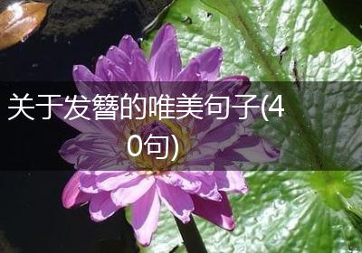 关于发簪的唯美句子(40句)